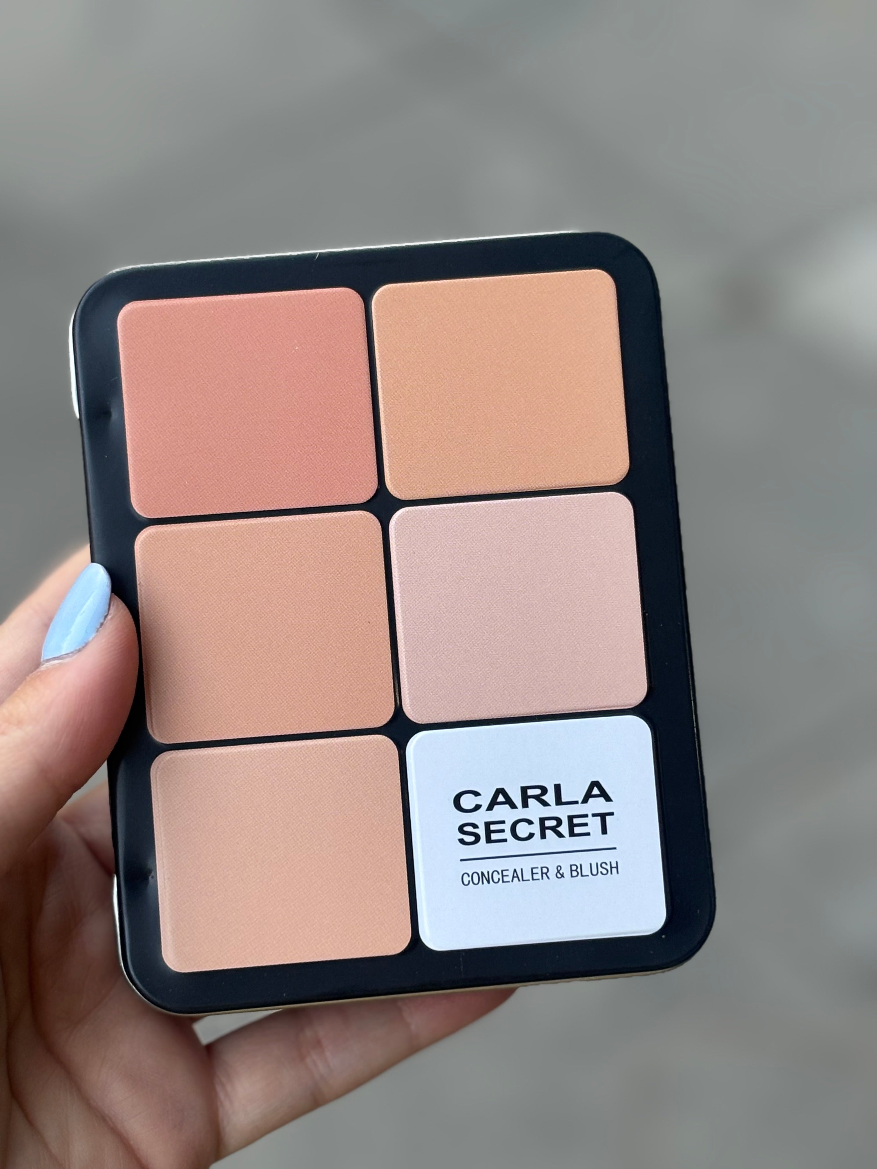 PALETTE BLUSH E CORRETTORI