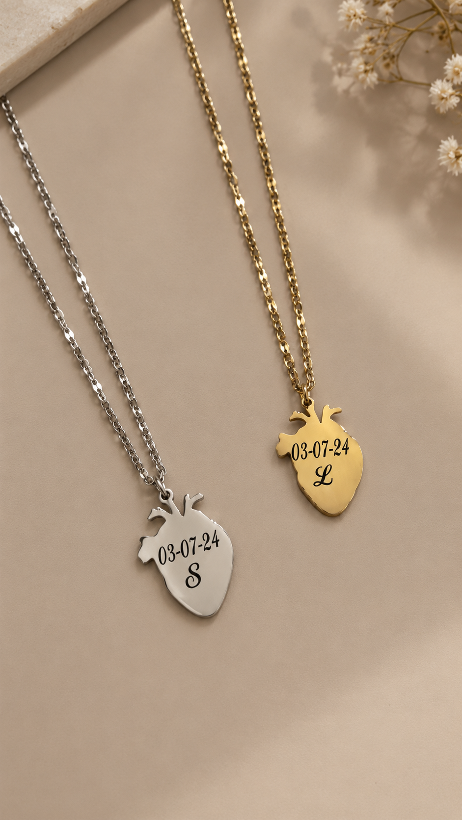 CUORE ANATOMICO INCISO